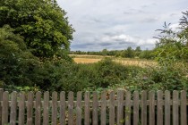 Images for Rural Location in Bodiam