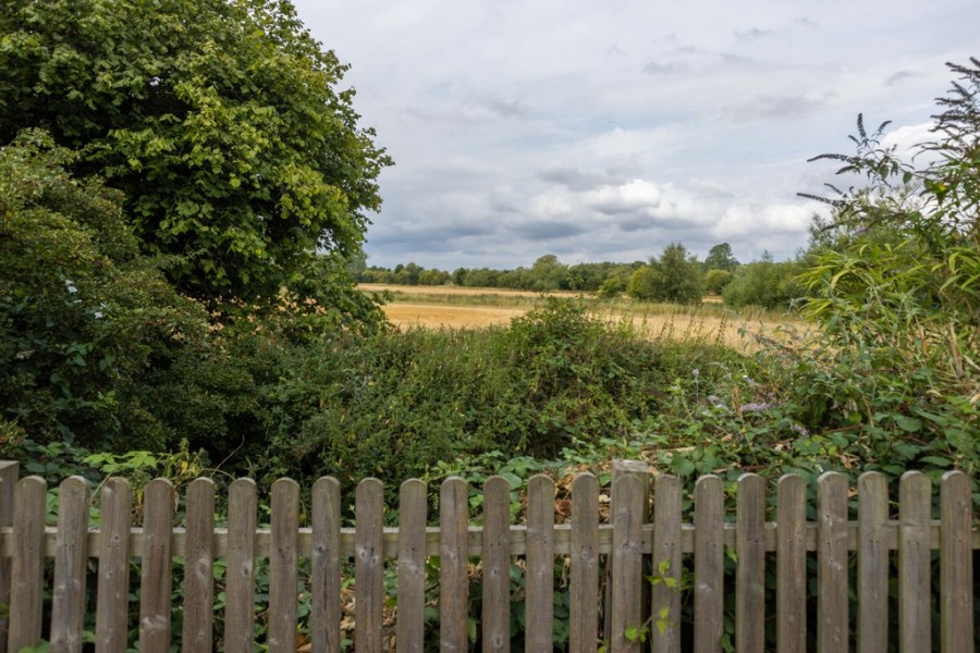 Images for Rural Location in Bodiam EAID:ef57f983cf4b2a5bbece8a930a878071 BID:1