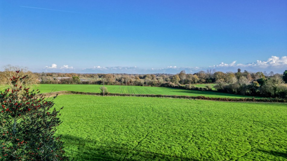 Images for No Onward Chain in Hawkhurst EAID:366206731 BID:bid