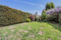 Images for Walking Distance To Cranbrook School