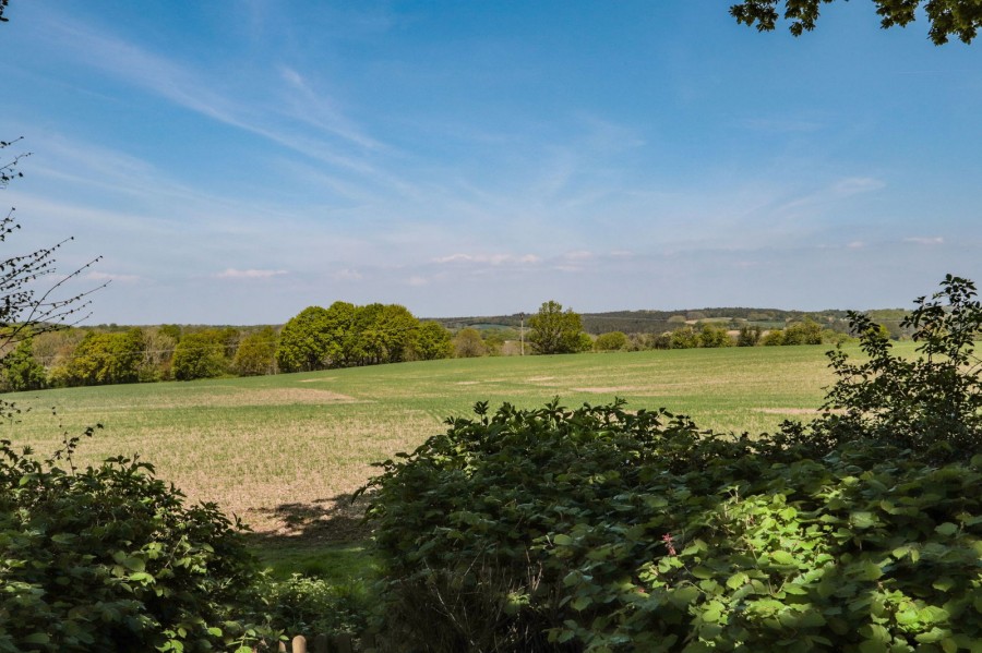 Images for In Hawkhurst With Views Towards Bedgebury Forest EAID:366206731 BID:bid
