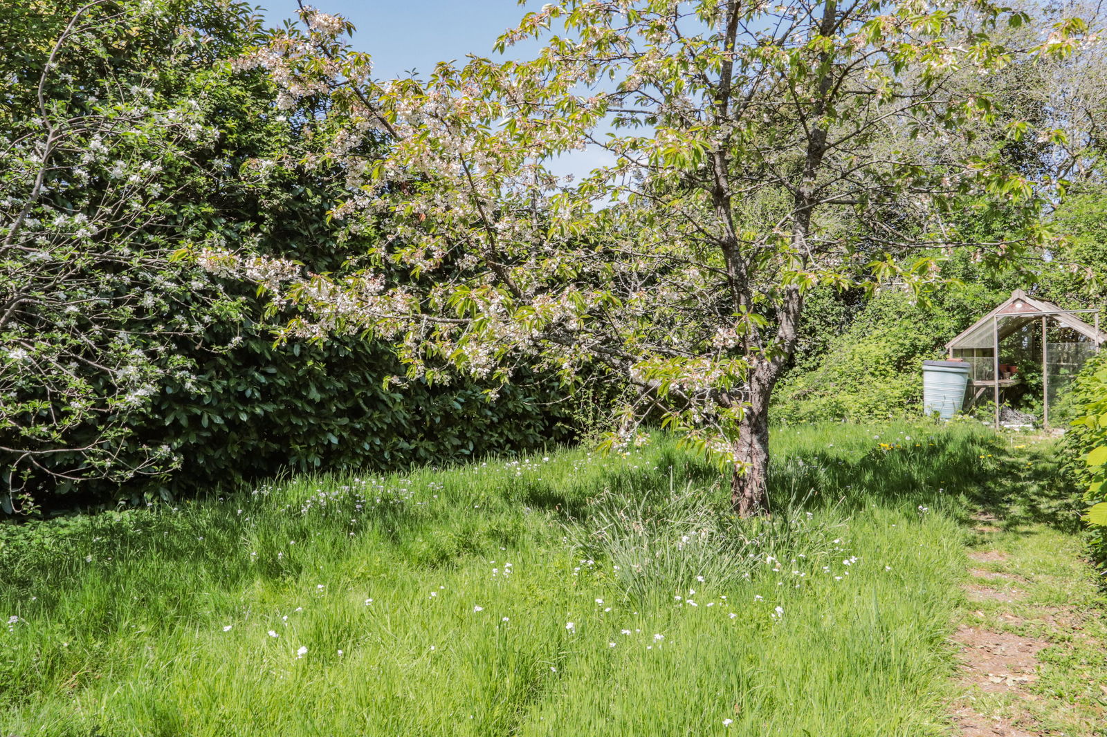 Floorplans For In Hawkhurst With Views Towards Bedgebury Forest
