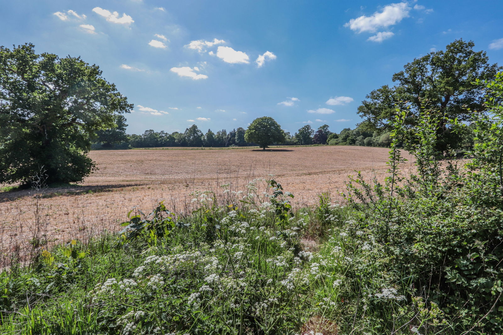 Floorplans For Walking Distance of Hawkhurst Colonnade