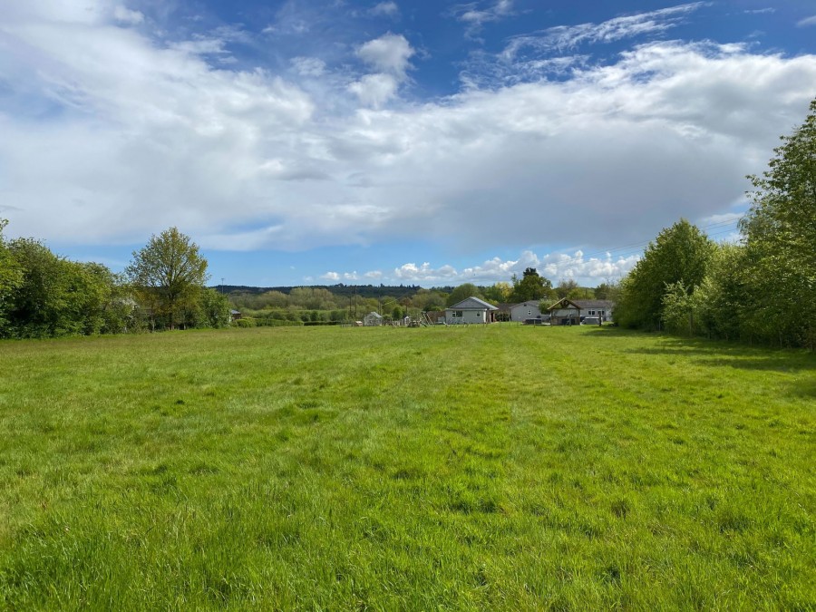 Images for With Planning Permission In Golford EAID:366206731 BID:bid