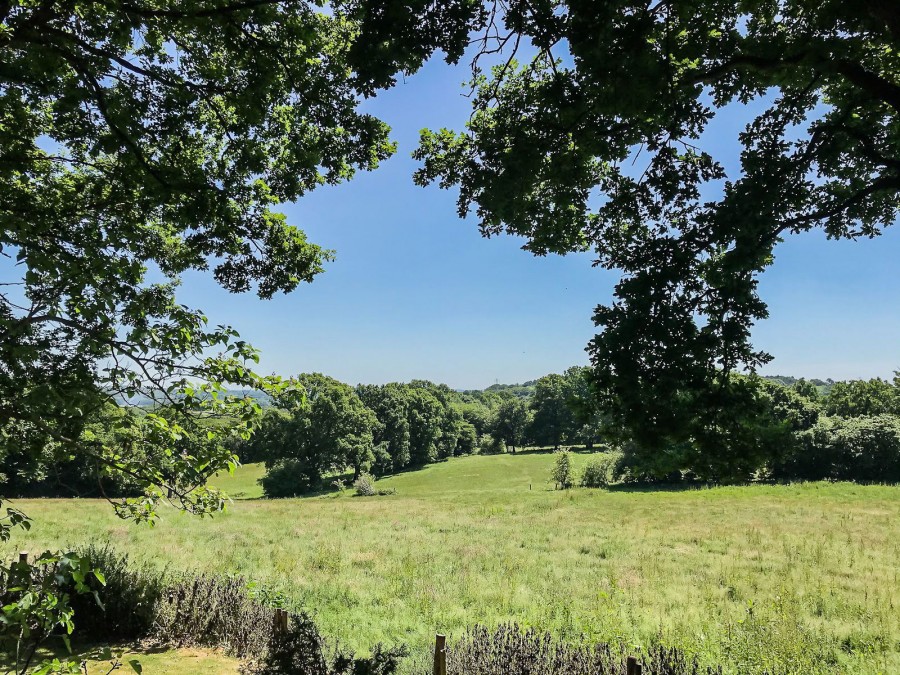 Images for Stunning Rural Location In Hawkhurst EAID:366206731 BID:bid