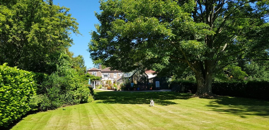Images for Stunning Rural Location In Hawkhurst EAID:366206731 BID:bid
