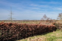 Images for Conghurst Lane, Hawkhurst