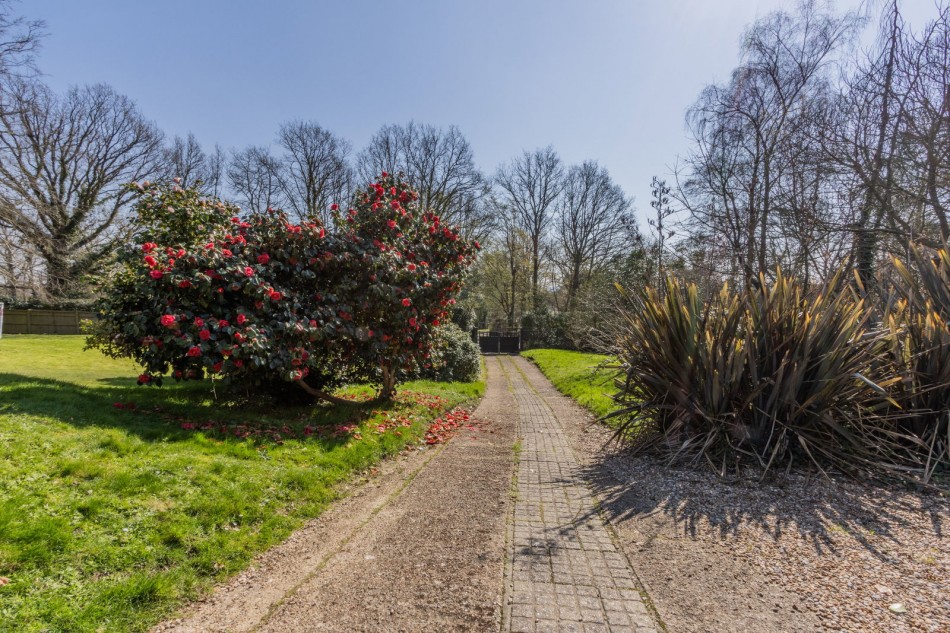 Images for Bodiam Road, Sandhurst EAID:366206731 BID:bid