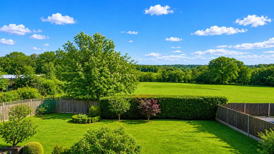 Images for Hurst Green EAID:366206731 BID:bid