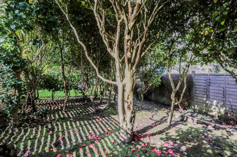 Images for Western Road, Hawkhurst EAID:366206731 BID:bid