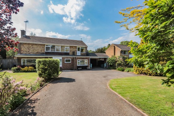 View Full Details for Theobalds, Hawkhurst - EAID:366206731, BID:bid