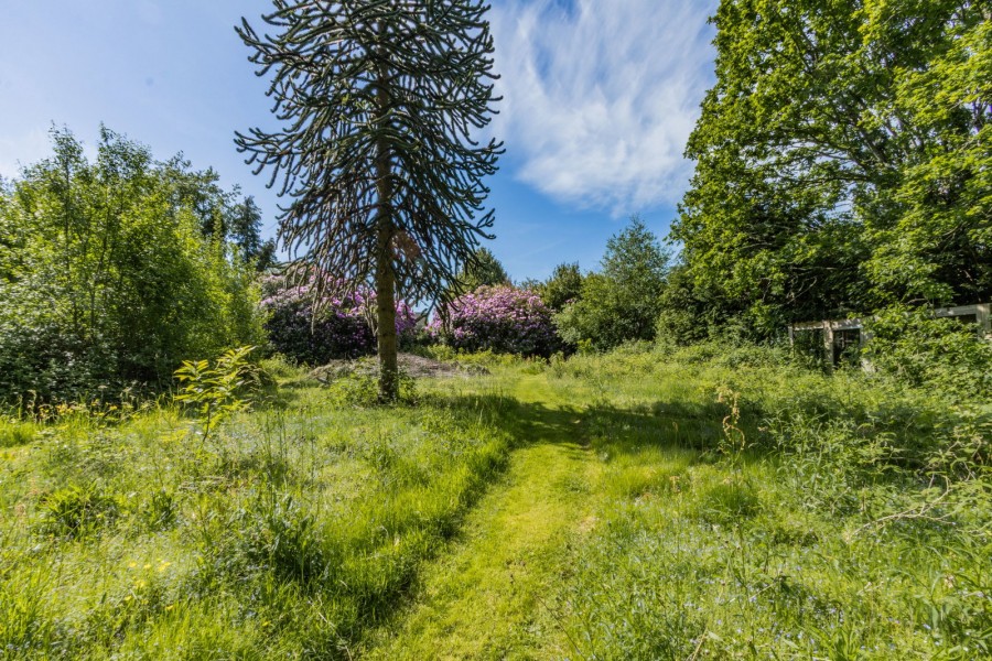 Images for Stream Lane, Hawkhurst EAID:366206731 BID:bid
