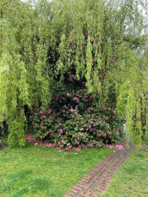 Images for The Mount, Flimwell