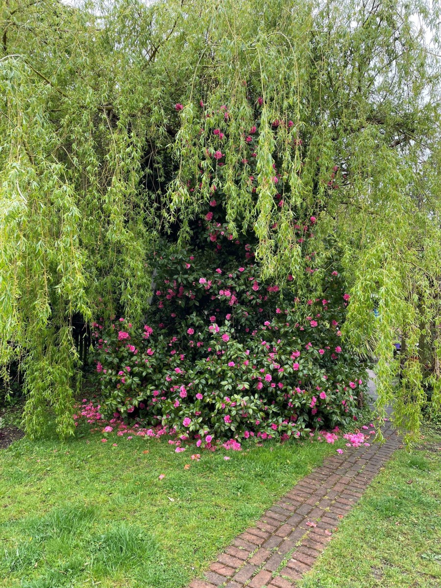 Images for The Mount, Flimwell EAID:366206731 BID:bid