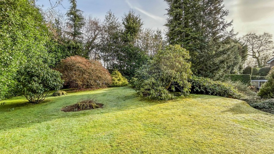 Images for Rural Lane Location In Etchingham EAID:366206731 BID:bid