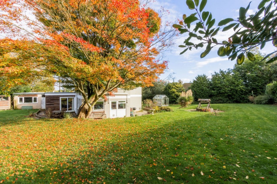 Images for Available With No Onward Chain In Cranbrook EAID:366206731 BID:bid